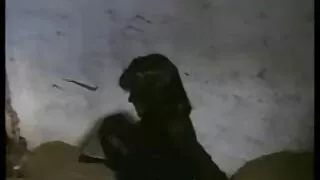 موہک الکسیس تگزاس شهوانی بی بی Tette