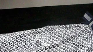 Beau کے ساتھ ایک طویل لنڈ سیکس الکسیس مطمئن ہوس کی pulcini